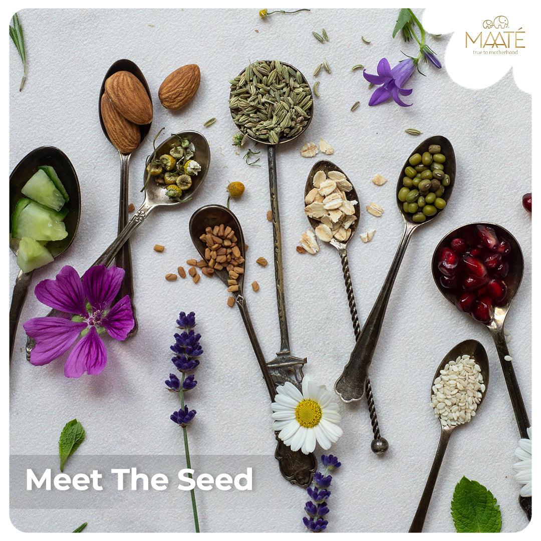 MEET THE SEED
