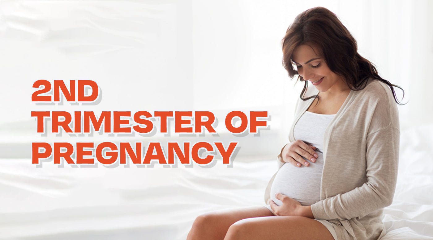 2nd Trimester of Pregnancy: Comprehensive Guide on Baby Growth, Symptoms, Nutrition, and Expert Care